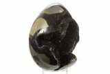 Septarian Dragon Egg Geode - Sparkly Black Crystals #336454-1